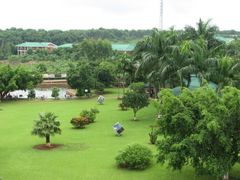 满目青翠-侯臣咖啡文化村