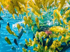 -福州罗源湾海洋世界旅游区