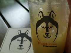 -TrueLove @ Neverland (Husky Cafe)