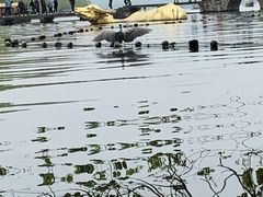 -星巴克(西湖天地店)