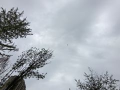 -木塔寺遗址生态公园