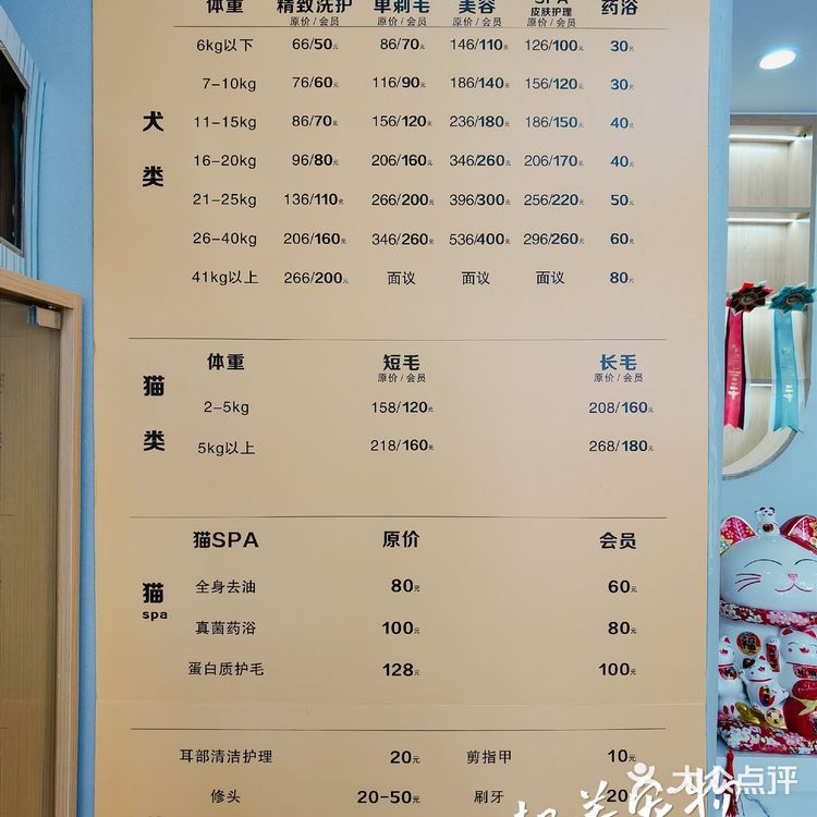 探店 ‖ 一起养宠物,一起快乐吧~