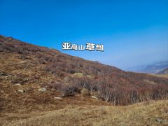 -灵山