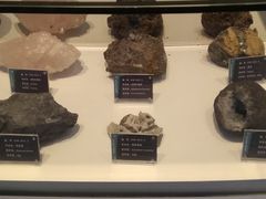 -金钉子远古世界景区