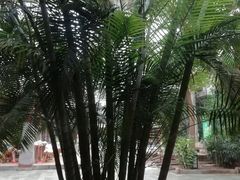 -龙达温泉生态城