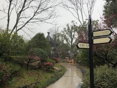 -杭州第一世界大酒店·云曼温泉
