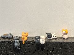 -EnergyCake蛋糕理想国