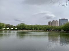 -青城公园