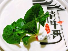 有机菠菜-俏牛哥鲜牛肉牛肆馆(重庆天地店)