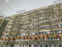 -深影国际影城(学院南路店CGS中国巨幕店)
