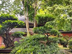 -成都武侯祠博物馆