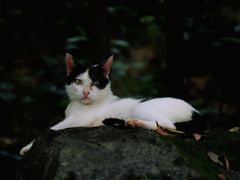 -广州市白云山风景名胜区