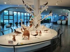 -漩门湾国家湿地公园