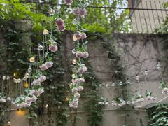 -Osteria Garden 生蚝花园餐厅(原进贤路店)