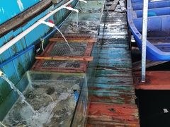 -蓝湾碧波·老字号·疍家非遗海上餐厅