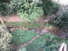 -清迈丛林飞跃 JungleFlight