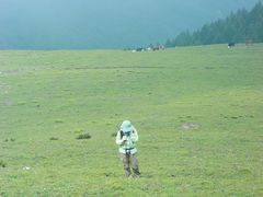 -灵山