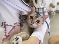 -Heymao猫咖.咖啡厅(东门店)