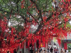 -国恩寺