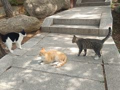 -崂山巨峰游览区