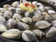 -顺德哥卜卜贝(旗舰店)