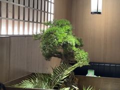 -湘邻呷铺·田园家宴(汉基广场店)