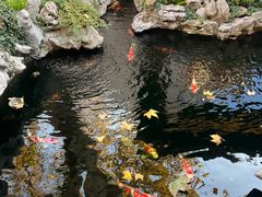 -鲤院·新中式美学·庭院餐厅(夫子庙店)