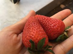 -大汉金桥华美达广场酒店·食秀全日制餐厅