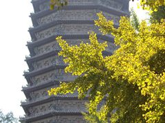 -玲珑塔公园