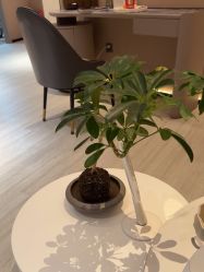 -丽都整形美容医院·全国连锁旗舰店