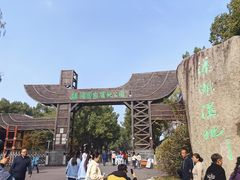 -溱湖国家湿地公园