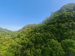 -栾川竹海野生动物园