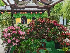 -无锡惠山寺