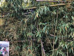 -武汉紫薇都市田园