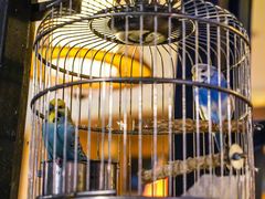 -生机蔬食·24节气料理餐厅(番禺广场店)