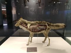 -青藏高原自然博物馆