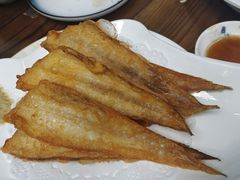 -鲁前海沿儿