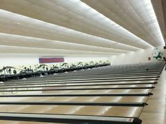 -广州保龄球馆(广州天河体育中心店)