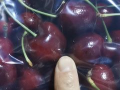 -菜园坝水果市场