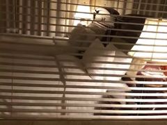 -白金汉爵大酒店(相城店)