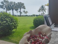-三亚亚龙湾瑞吉酒店·宴悦Driftwood·游水海鲜·牛排·草坪·私人定制