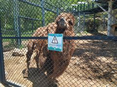 -大连森林动物园