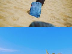 -亚龙湾热带天堂森林公园