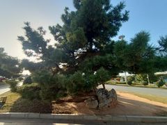 -南昌昌北国际机场