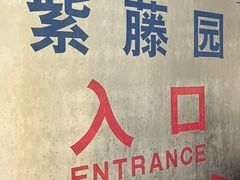 -嘉定紫藤园