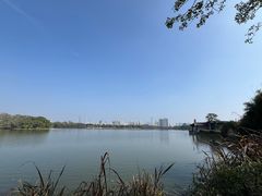 -海珠湖公园