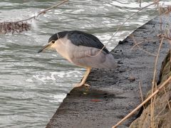 -苏州河梦清园环保主题公园