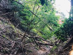 -比叡山