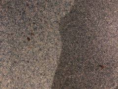 -金逸影城(明发IMAX店)