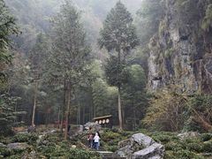 -石台牯牛降景区